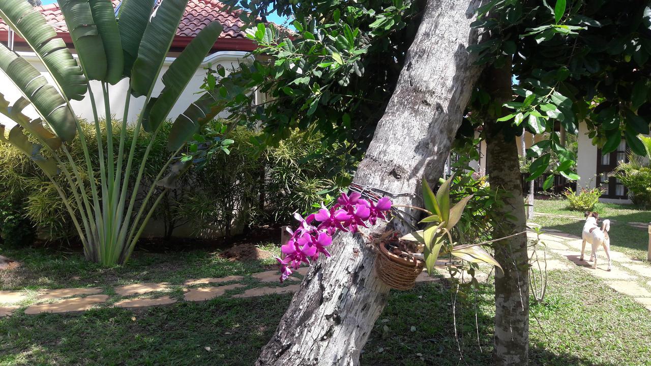 Lanka Beach Grand Villa Rekawa Esterno foto